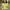 One Set Puffy Butter Yellow Y2k Kawai Vintage Eyecatching 