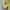One set puffy butter yellow y2k kawai vintage eyecatching  photo 6
