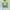 One Set Puffy Butter Yellow Y2k Kawai Vintage Eyecatching 