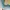 One set puffy butter yellow y2k kawai vintage eyecatching  photo 8