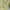 One set puffy butter yellow y2k kawai vintage eyecatching  photo 5