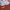 Running Shoes Nike Revolution 6 NN photo 2