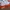 Running Shoes Nike Revolution 6 NN