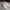 Descente Minimalist Casual Sneakers Pria white photo 4