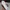 Descente Minimalist Casual Sneakers Pria white photo 8