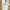 VSCT Jeans 2befree Cargo Multipocket Short Pants photo 5