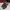 Bally Casual Sneakers Pria brown photo 5