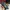 Emporio Armani Casual Sneakers Pria navy photo 1
