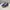 Nike Air Jordan Sportswear Sneakers Pria Blue