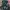 Streetwear Hoody Pria multicolor photo 4