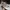 Tod's Casual Sneakers Pria gray photo 1
