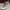 Tod's Casual Sneakers Pria gray photo 2
