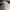 Tommy Hilfiger mens sneaker signature canvas photo 6