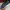 Bally Casual Sneakers Pria navy photo 2