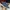 Bally Casual Sneakers Pria navy photo 1
