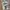 Crocs classic clog (bone) photo 1