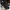 Louis Vuitton Casual Sneakers Pria black photo 1