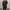 Lyle & Scott Gorpcore Casual Trench coat Pria brown photo 2