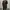 Lyle & Scott Gorpcore Casual Trench Coat Pria Brown