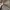 Lyle & Scott Gorpcore Casual Trench coat Pria brown photo 7