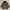 Lyle & Scott Gorpcore Casual Trench coat Pria brown photo 4