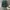 Vintage Sweater Wanita green gray photo 1