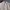 Vintage Streetwear Harrington jacket Pria cream photo 3