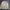 Vintage Streetwear Harrington jacket Pria cream photo 1