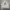 Adidas Sportswear Minimalist Hoody Pria Gray