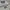 Adidas Sportswear Minimalist Hoody Pria gray photo 3