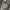 Jacket Vintage Parka Difference Rupert photo 6