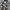 Jacket Outdoor Snowboard Billabong photo 7