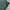 Dickies Work Pants 874 Licoln Green photo 8