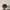 Raf Simons X Adidas Size Osfa Sun Faded photo 2