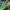 HOKA ONE CLIFTON 9 SHOES RUNNING , HOKA ONE CLIFTON 9 , SNEA photo 6