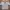 Vintage Streetwear Casual Shirt Pria Multicolor White