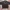 Streetwear Y2K Casual shirt Pria multicolor black photo 1