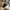 Converse Chuck Taylor All Star 70S Low Black White photo 6