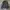 Bomber Jacket Nepa Olive Green photo 1