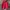Jacket Outdoor Gorpcore The North Face Red photo 1