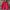 Jacket Outdoor Gorpcore The North Face Red