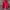 Jacket Outdoor Gorpcore The North Face Red photo 2