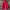 Jacket Outdoor Gorpcore The North Face Red