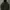 Carhartt Streetwear Windbreaker Pria Green