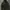 Carhartt Streetwear Windbreaker Pria green photo 2