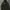 Carhartt Streetwear Windbreaker Pria Green