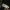 Carhartt Streetwear Windbreaker Pria green photo 3
