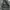 Uniqlo Turtle Neck Grey