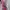 Boneka Barbie Original Mattel (Box Plastik pink) photo 4