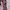 Boneka Barbie Original Mattel (Box Plastik pink) photo 2
